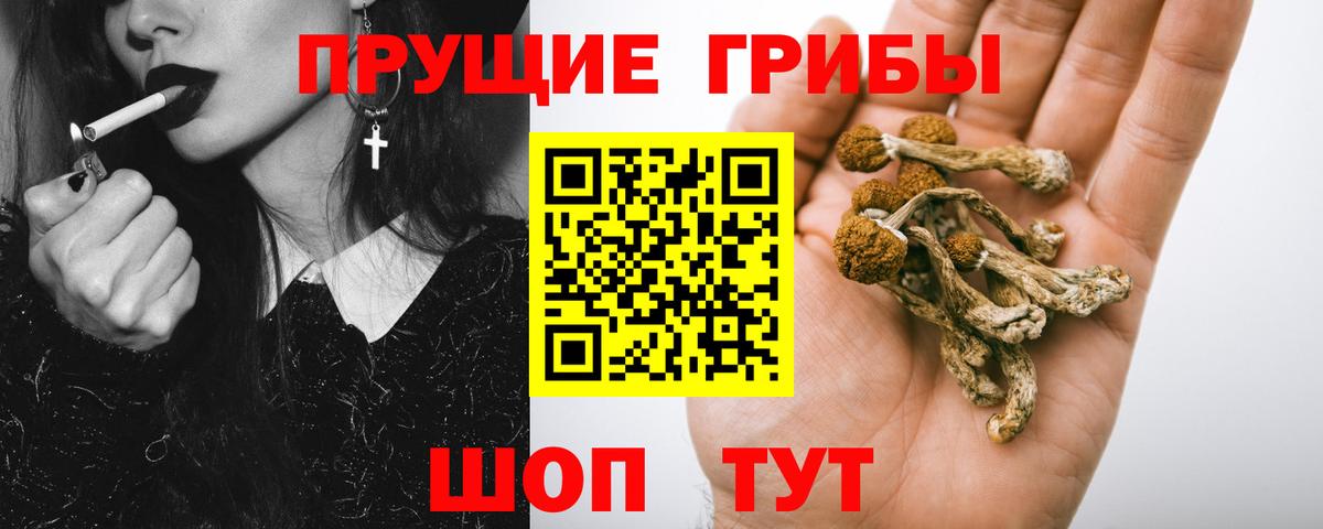 Галлюциногенные грибы MAGIC MUSHROOMS Курск