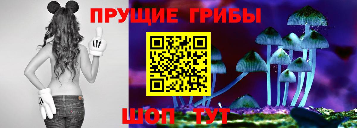 Псилоцибиновые грибы мицелий  Вход с VPN  Курск 